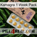 Kamagra 1 Week Pack 41